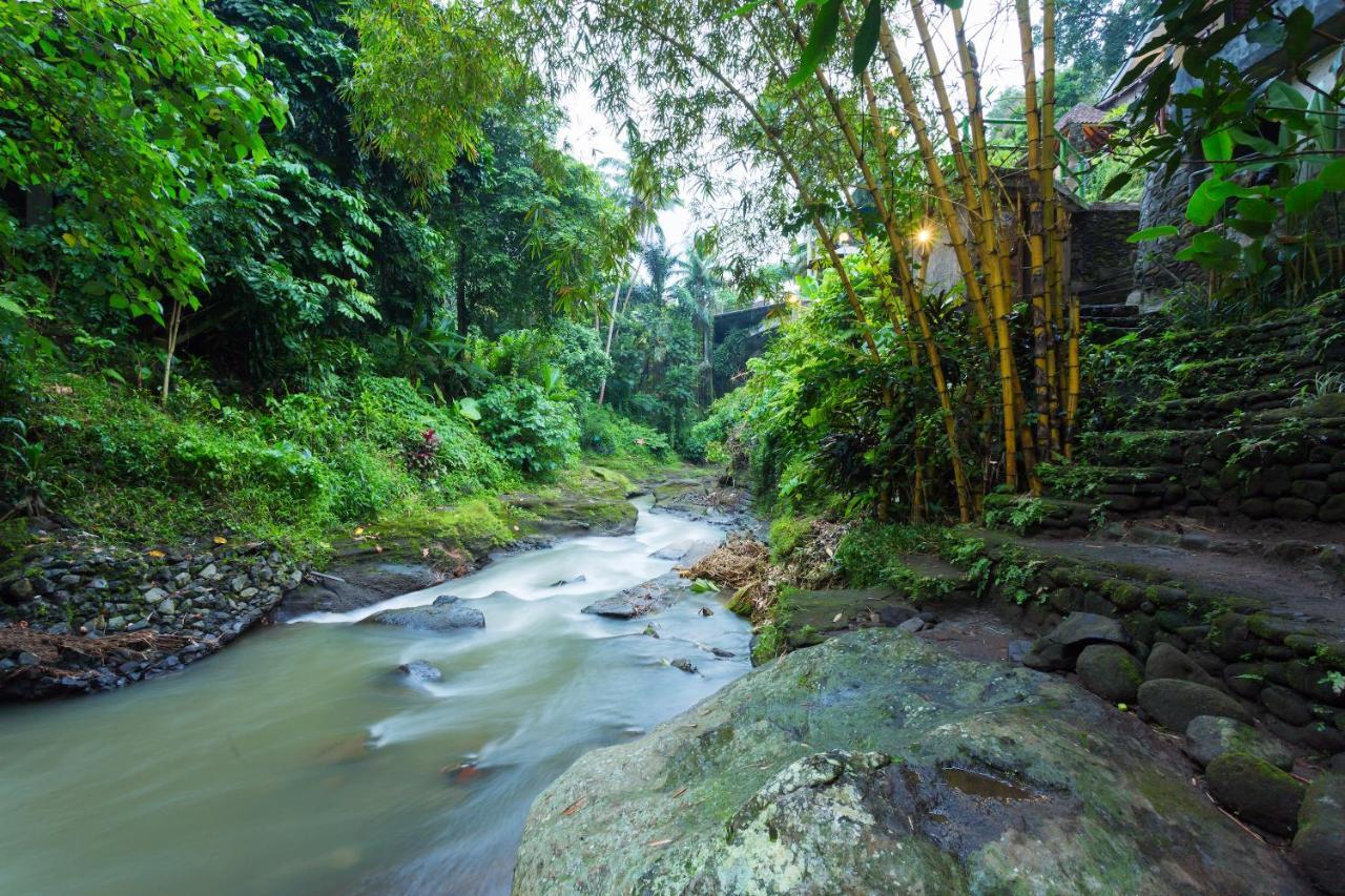 Ani's Villas Ubud Exteriér fotografie