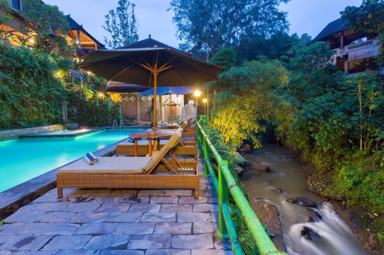 Ani's Villas Ubud Exteriér fotografie